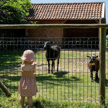 Hoeve De Binnenplaets Schimmert エクステリア 写真