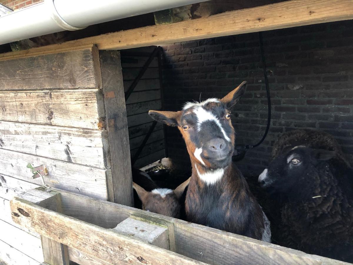 Hoeve De Binnenplaets Schimmert エクステリア 写真