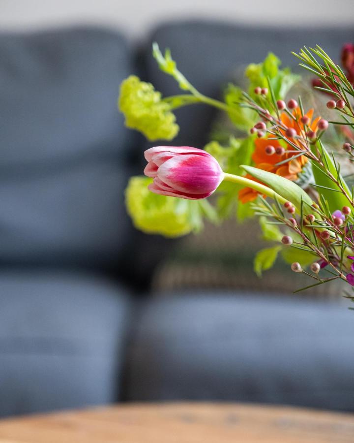 Hoeve De Binnenplaets Schimmert エクステリア 写真