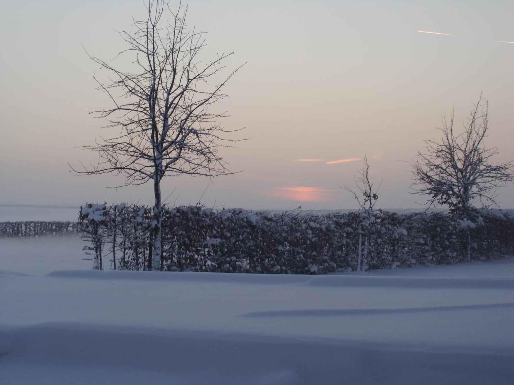 Hoeve De Binnenplaets Schimmert エクステリア 写真