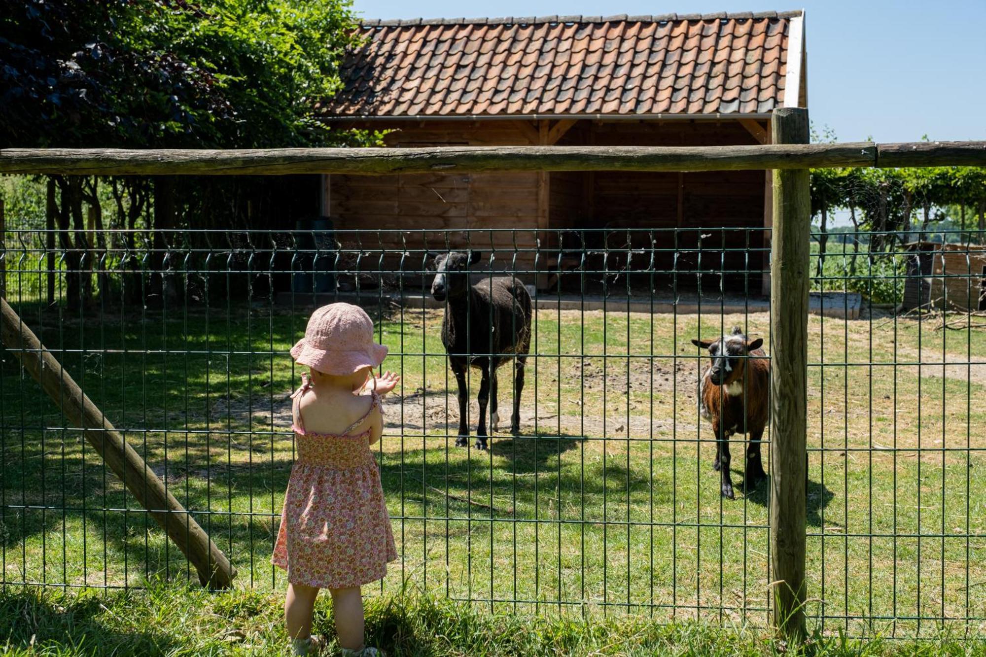 Hoeve De Binnenplaets Schimmert エクステリア 写真