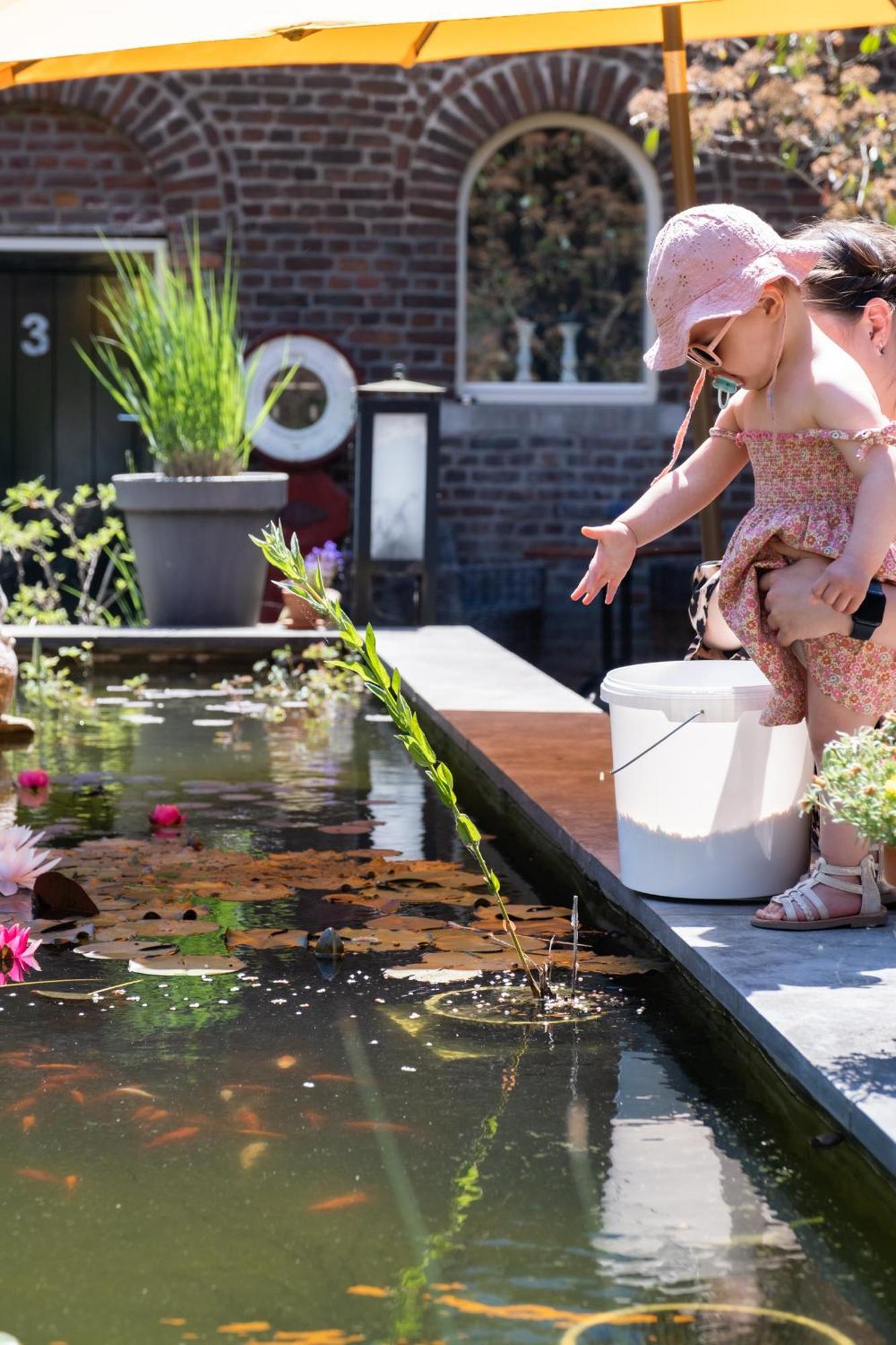 Hoeve De Binnenplaets Schimmert エクステリア 写真